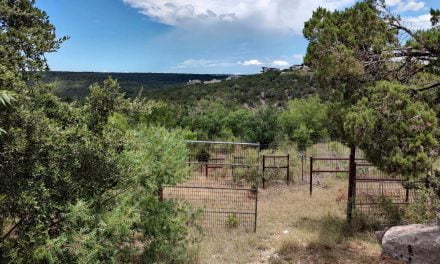 Texas Hill Country Unwind & Recharge in the Serene Austin