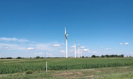 Texas Windmills: Powering the Future with Green Energy