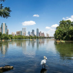 Things to do at Lady Bird Lake in Austin, Texas