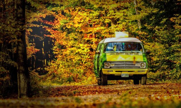 Austin Off The Beaten Path Kinda Things One Might Like