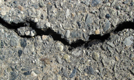 10 Most Common Basic Austin Complaints by Local Residents