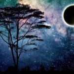 Epic Austin TX Eclipse – How to Witness Total Darkness Safely