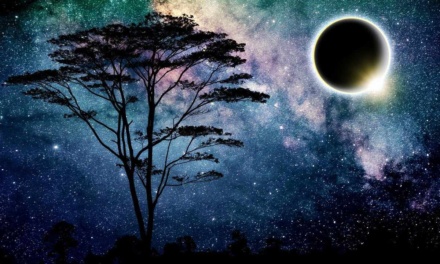 Epic Austin TX Eclipse – How to Witness Total Darkness Safely